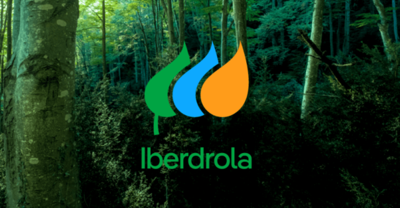 Iberdrola's net debt